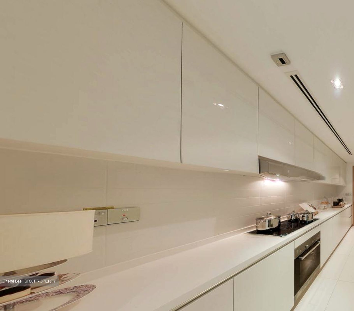 Skysuites@Anson (D2), Apartment #514496731